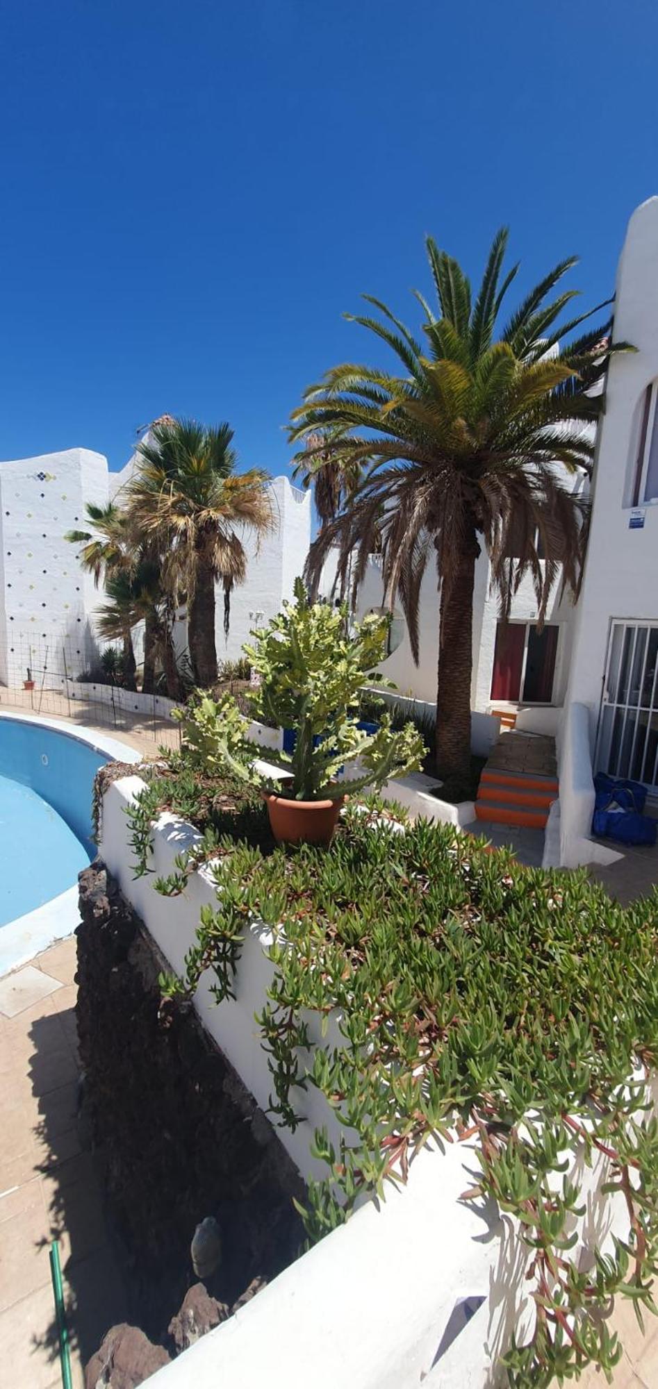 Wonderful White Appartament In Las Tortugas Playa de las Américas Exterior foto